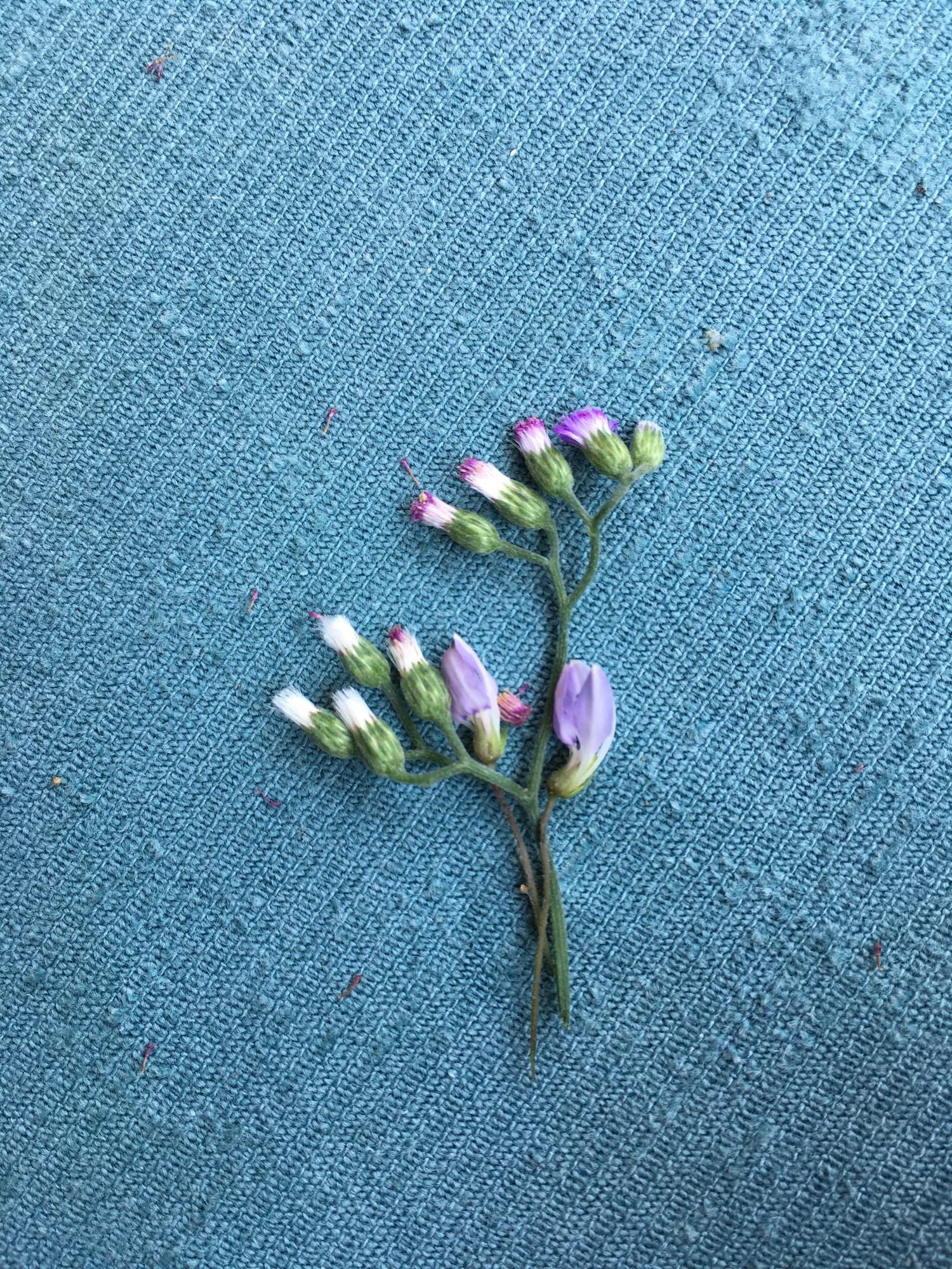 Small embroidered floral patch on denim